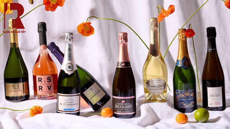 Rượu Champagne Là Gì? Có Mấy Loại Và Lưu Ý Gì Khi Mua?