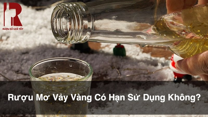 Rượu Mơ Vảy Vàng Có Hạn Sử Dụng Không? Cách Uống Và Bảo Quản