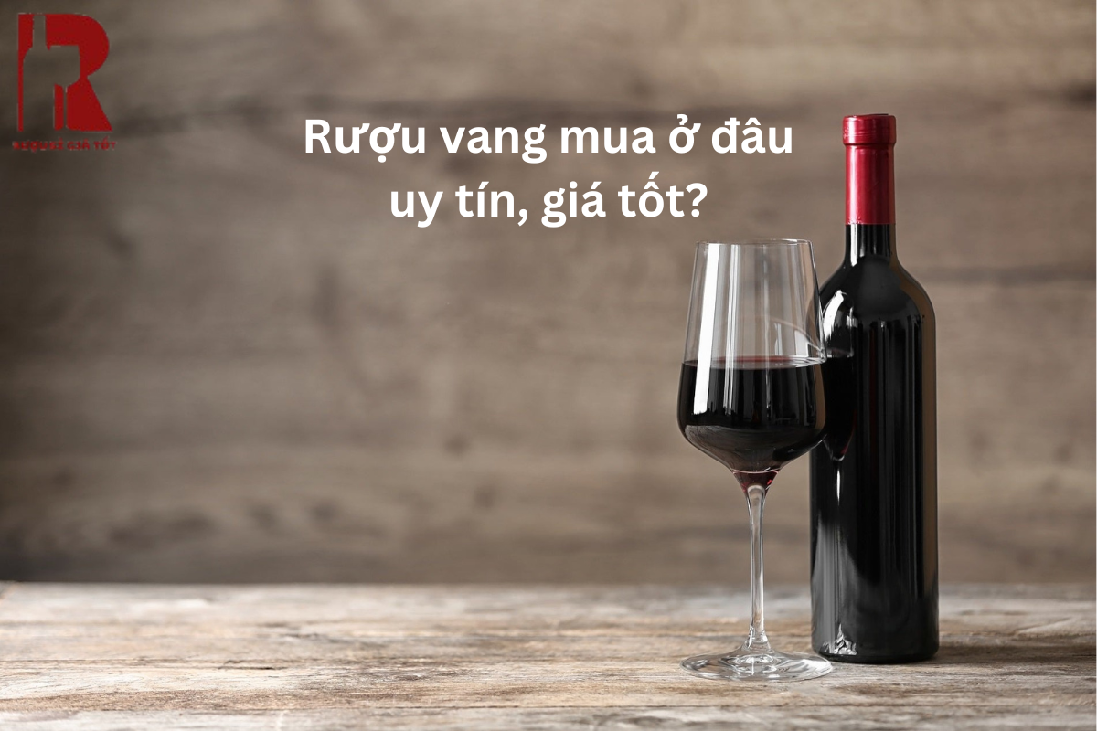 Rượu Vang Mua Ở Đâu? Top 04 Địa Chỉ Bán Rượu Vang Uy Tín TPHCM