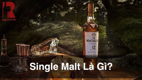 Single Malt là Gì? Khác Gì Blended Whisky Và Có Mấy Loại?