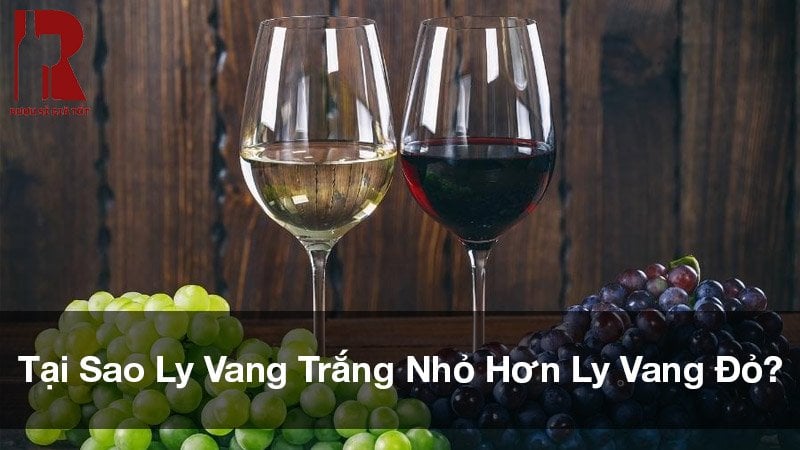 Tại Sao Ly Vang Trắng Nhỏ Hơn Ly Vang Đỏ? Sự Khác Biệt
