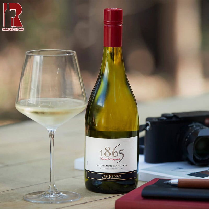 Rượu 1865 Sauvignon Blanc có giá thành phải chăng cùng chất lượng cao cấp