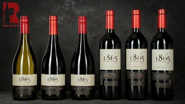 1865 Selected Vineyards Cabernet Sauvignon