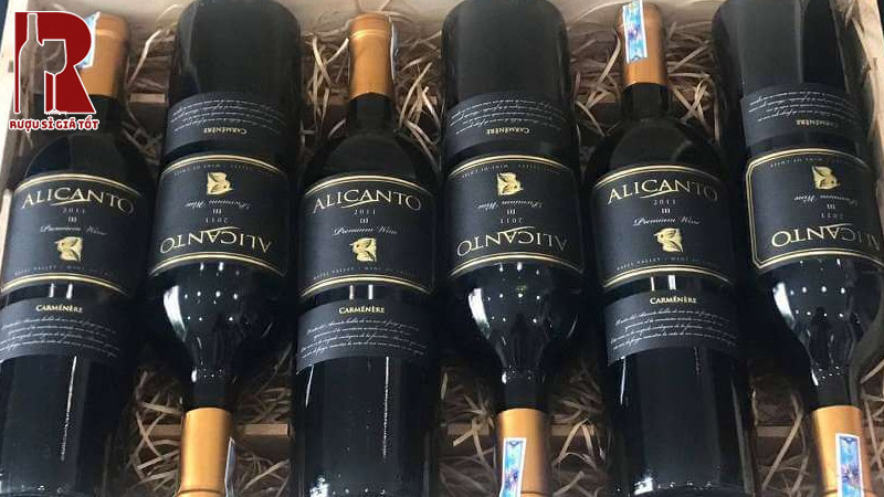 Phương Pháp Làm Rượu Khiến Alicanto Icono Trở Nên Đặc Biệt