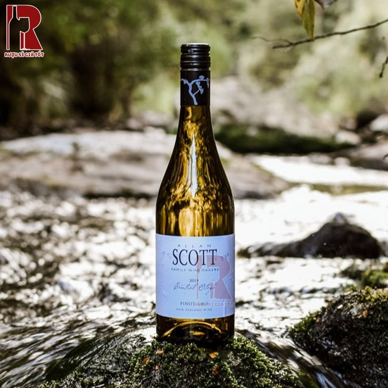 Allan Scott Pinot Gris thanh mát, nhẹ nhàng và dễ uống