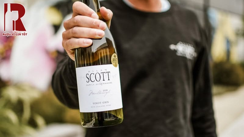 Allan Scott Pinot Gris nên được ướp lạnh trước ở nhiệt độ từ 8 đến 10 độ để có thể có vị tốt nhất