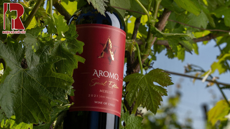 Rượu vang đỏ Aromo Special Edition Merlot 13%