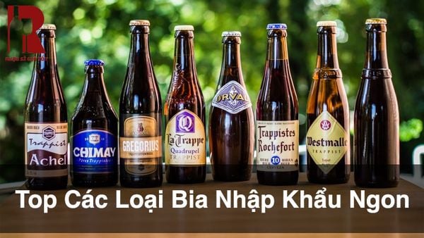 Top các loại bia nhập khẩu ngon là những loại nào?