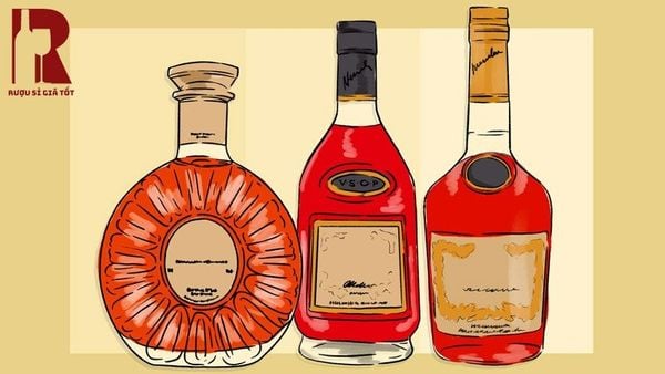 Tìm hiểu các loại rượu XO nổi tiếng
