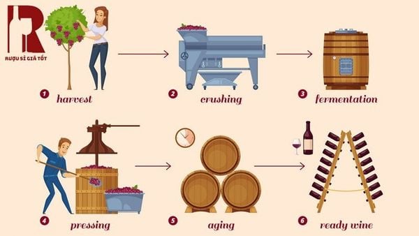 Cách làm rượu vang nho kiểu Pháp đơn giản - minh hoạ các bước thực hiện
