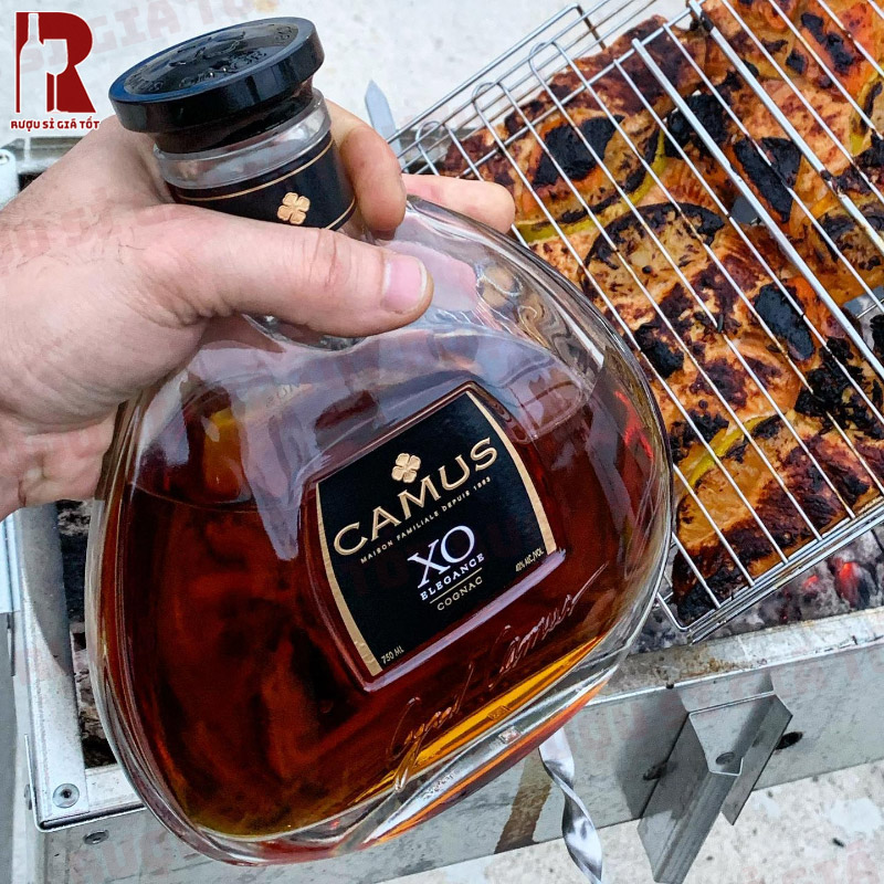 Đánh giá các loại rượu cognac XO với Camus Elegance