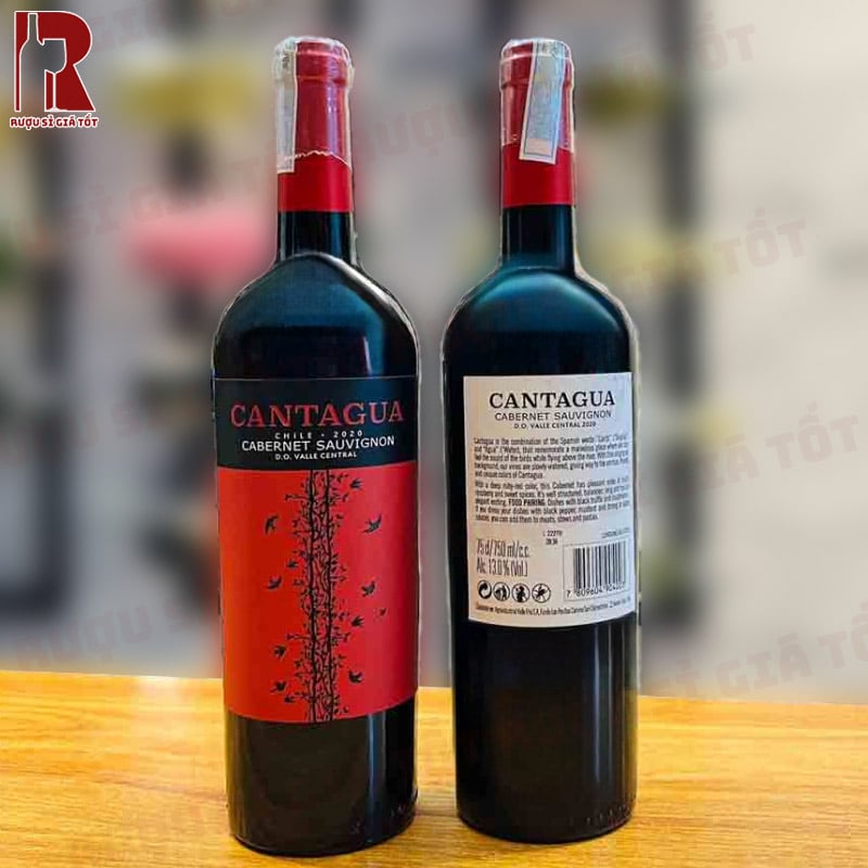 Rượu Vang Chile Đỏ Cantagua Cabernet Sauvignon thanh lịch và chát mượt