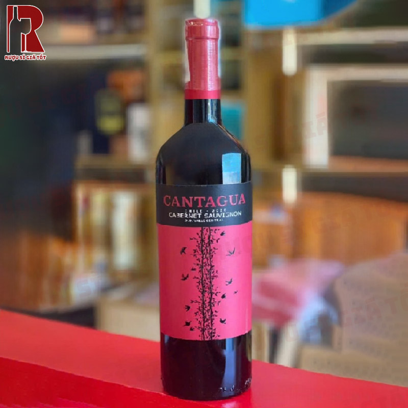 Rượu Vang Chile Đỏ Cantagua Cabernet Sauvignon đem đến trải nghiệm hương vị phong phú