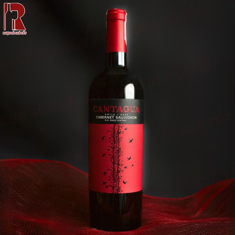 Rượu Vang Chile Đỏ Cantagua Cabernet Sauvignon phù hợp cho nhiều món ăn