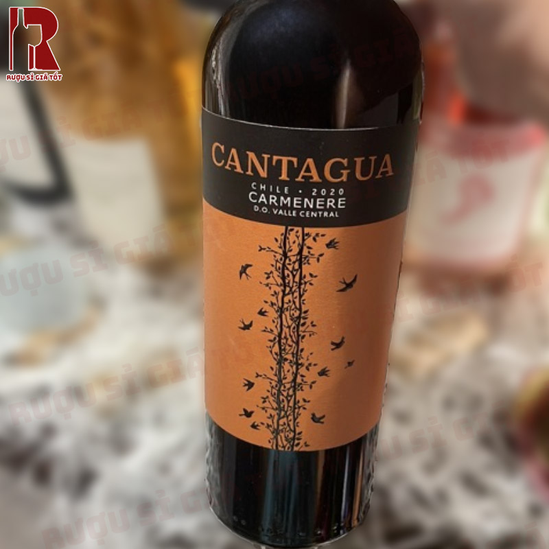 Rượu Vang Chile Đỏ Cantagua Carmenere giá tốt, chất lượng cao
