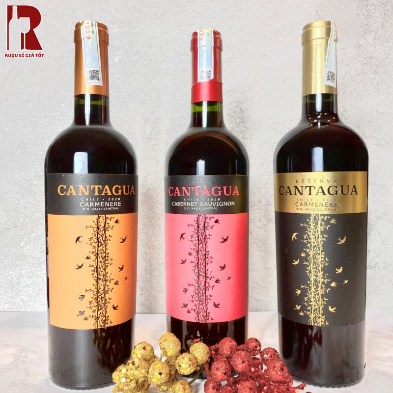 Rượu Vang Chile Đỏ Cantagua Carmenere nhẹ nhàng, mềm mại