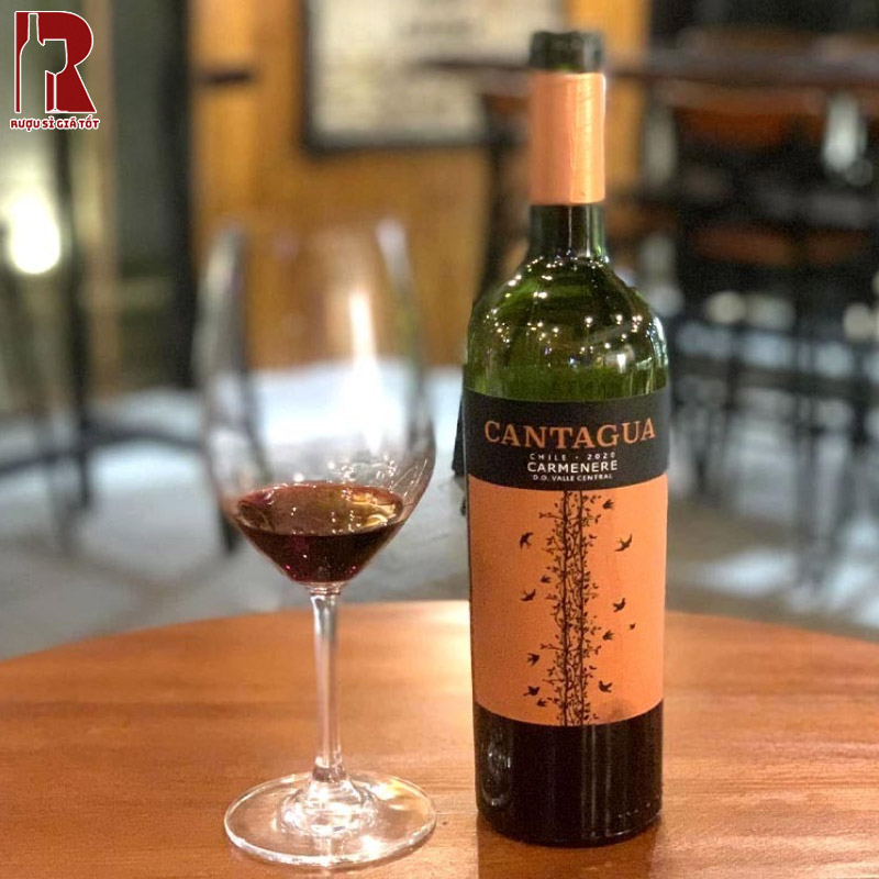 Rượu Vang Chile Đỏ Cantagua Carmenere chát mượn, tròn trịa