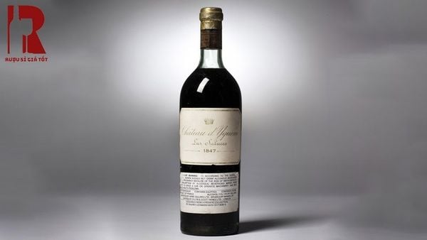 Château d’Yquem 1847 là rượu vang ngọt nổi tiếng được sản xuất tại Sauternes