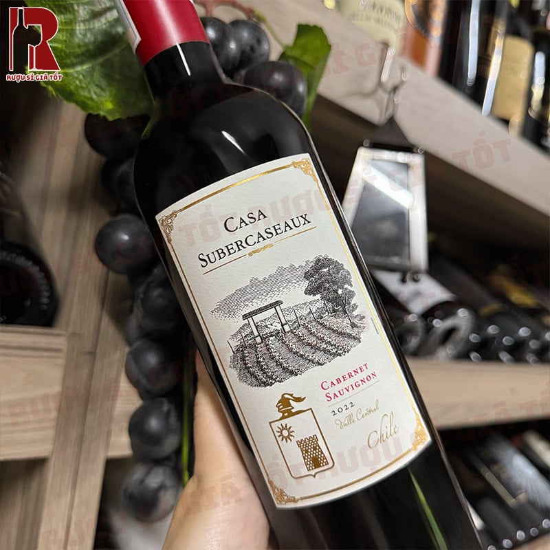 Cách Thưởng Thức Concha Y Toro Casa Subercaseaux Cabernet Sauvignon