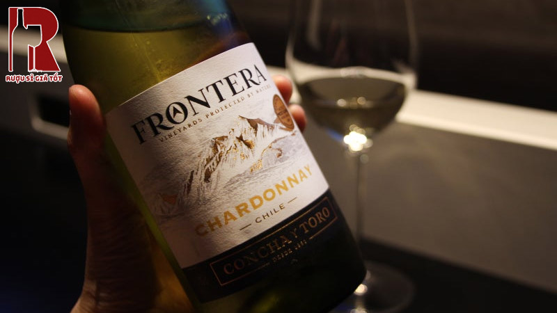 Sự Tinh Tế Của Khí Hậu Chile Trong Từng Giọt Concha Y Toro Frontera Chardonnay