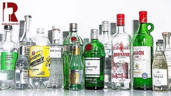 Gin