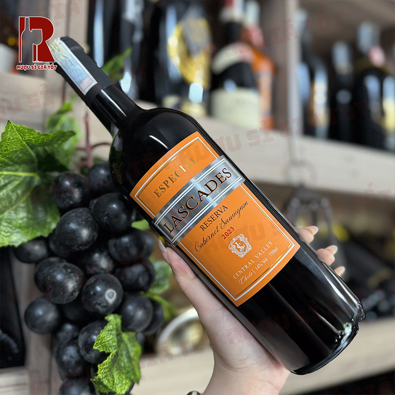 Đánh giá vang Chile Lascades Cabernet Sauvignon