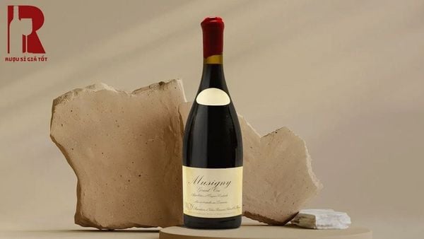 Với mức giá 226,743 USD, Leroy Musigny Grand Cru là một trong những chai rượu vang đỏ đắt giá nhất thế giới