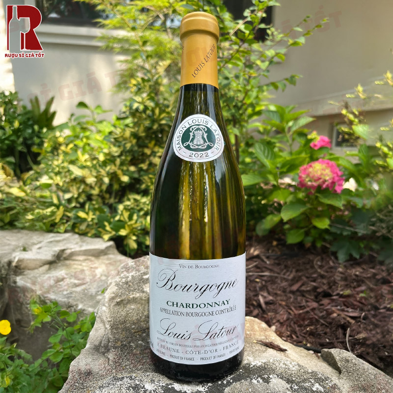 Vang trắng Louis Latour Bourgogne Chardonnay Nhập Khẩu Pháp