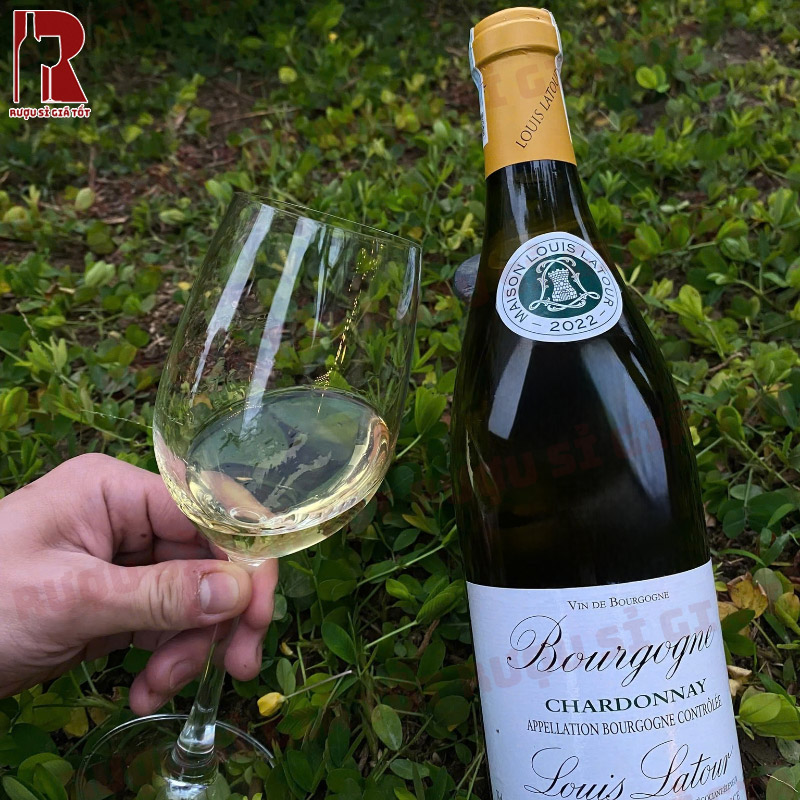 Thưởng thức vang Pháp Louis Latour Bourgogne Chardonnay thơm ngon