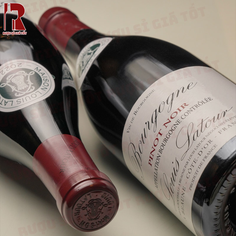 Khám phá vang Louis Latour Bourgogne Pinot Noir