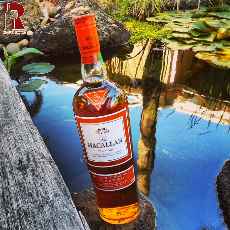 Macallan Sienna Chính Hãng