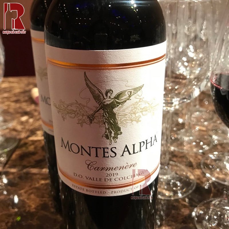 Cách thưởng thức vang Montes Alpha Carmenere tốt nhất