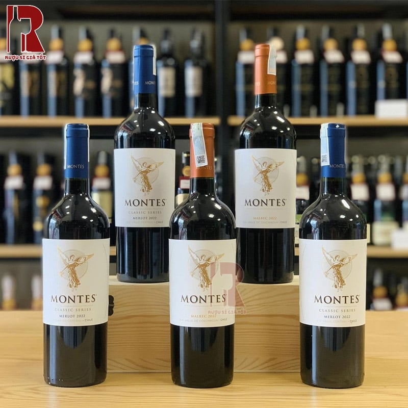 Montes Classic Series Merlot với vị rượu mềm mại, không quá đậm, sẽ đi kèm hoàn hảo với các món ăn thịt nguội hoặc chả lụa, nem nướng