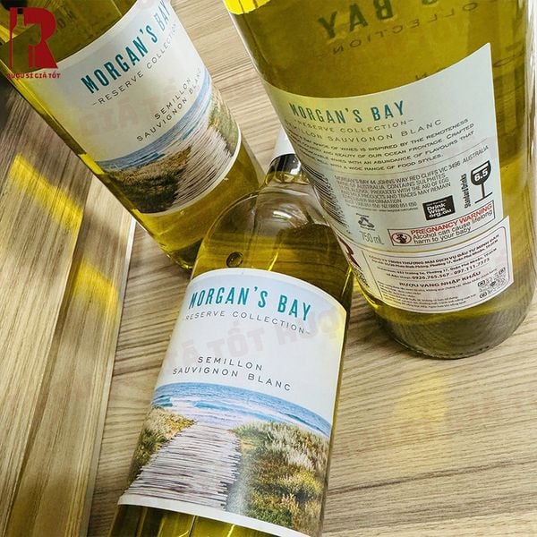 Mùa hè uống rượu Morgan’s Bay Semillon Sauvignon Blanc ngon