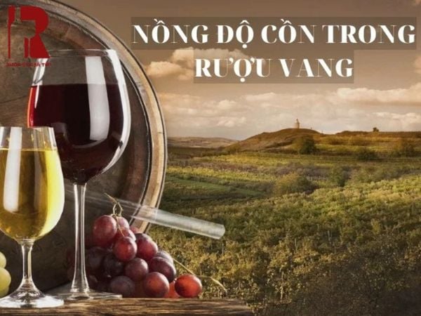 Rượu vang thường dao động từ 5-23 độ tuỳ từng loại