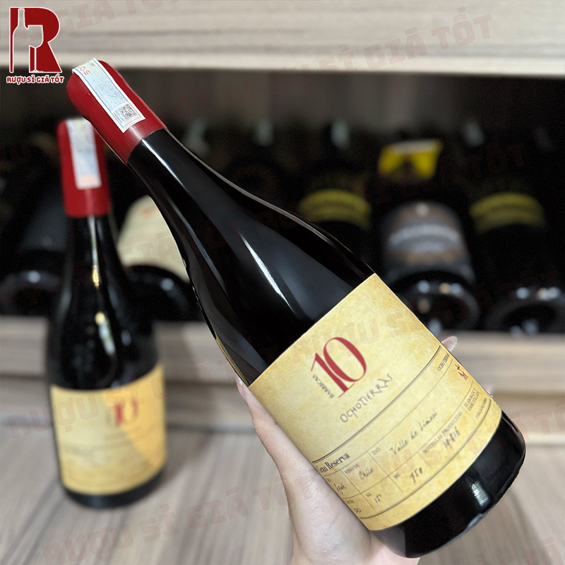 Khám Phá Chiều Sâu Hương Vị Cùng Ocho 10 Gran Reserva Syrah
