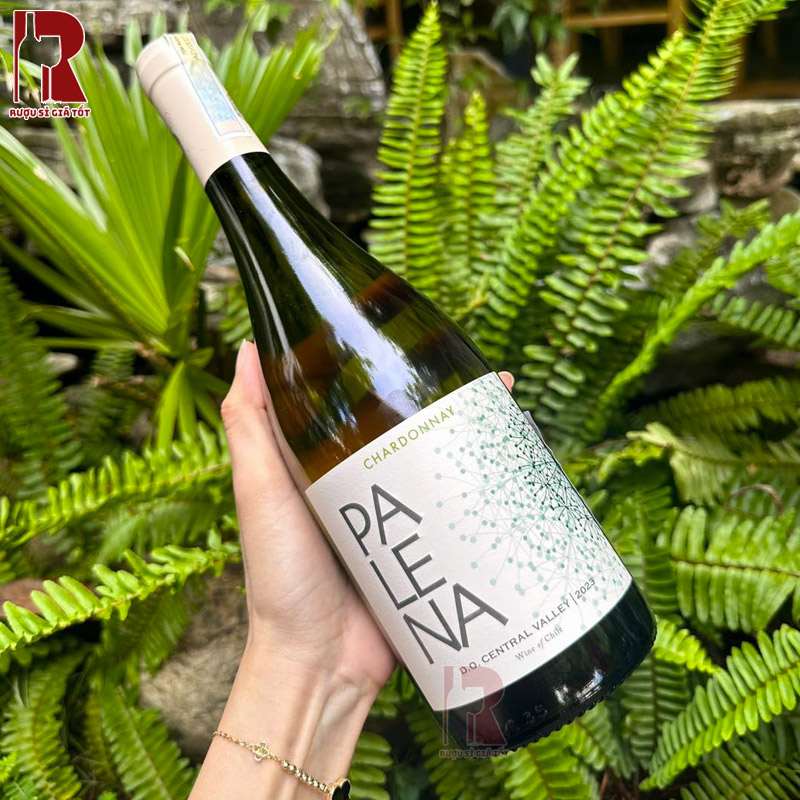Quy trình lên men và sản xuất kĩ lưỡng của các chai vang Palena Chardonnay
