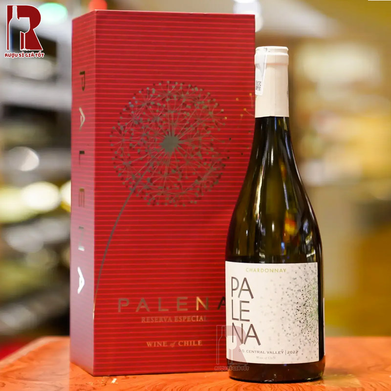 Các món ăn hoàn hảo để đi kèm với chai vang Palena Chardonnay