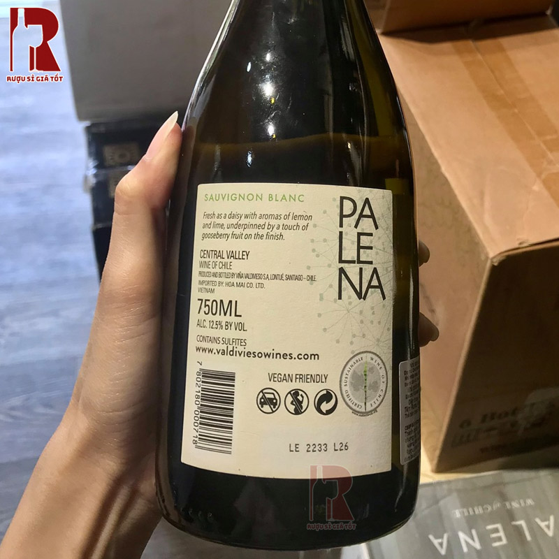 Palena Sauvignon Blanc và quy trình sản xuất rượu tinh tế