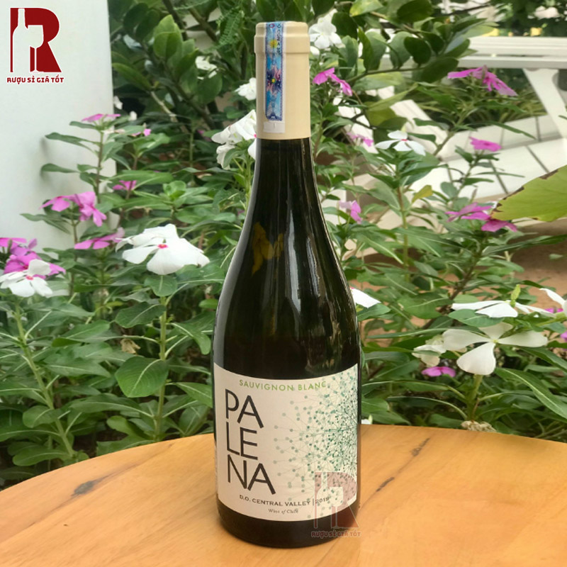 Vang Palena Sauvignon Blanc và các món ăn đi kèm hoàn hảo