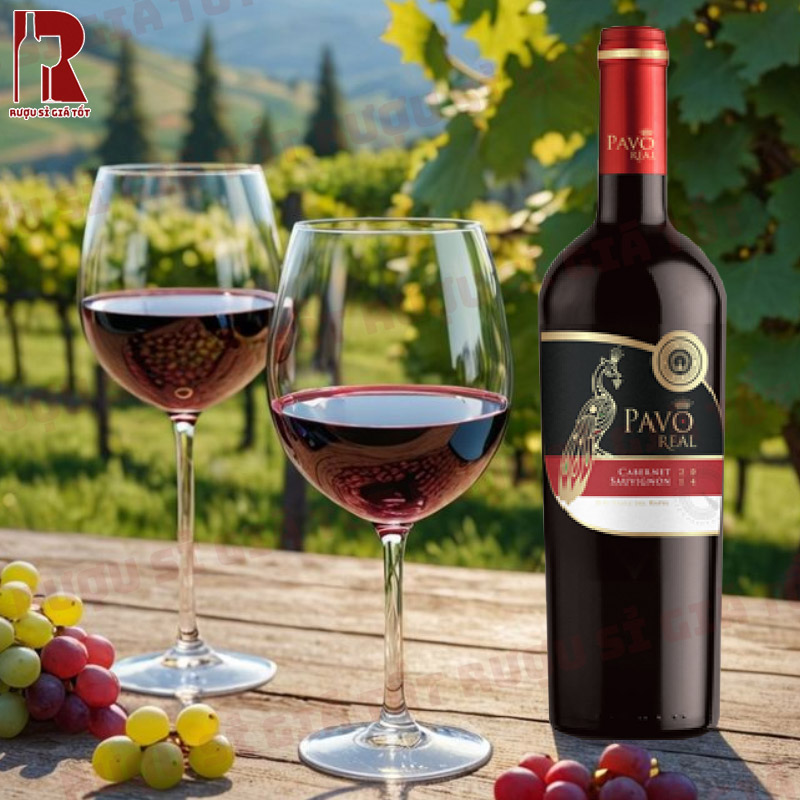Quy trình sản xuất phức tạp của vang Pavo Real Cabernet Sauvignon