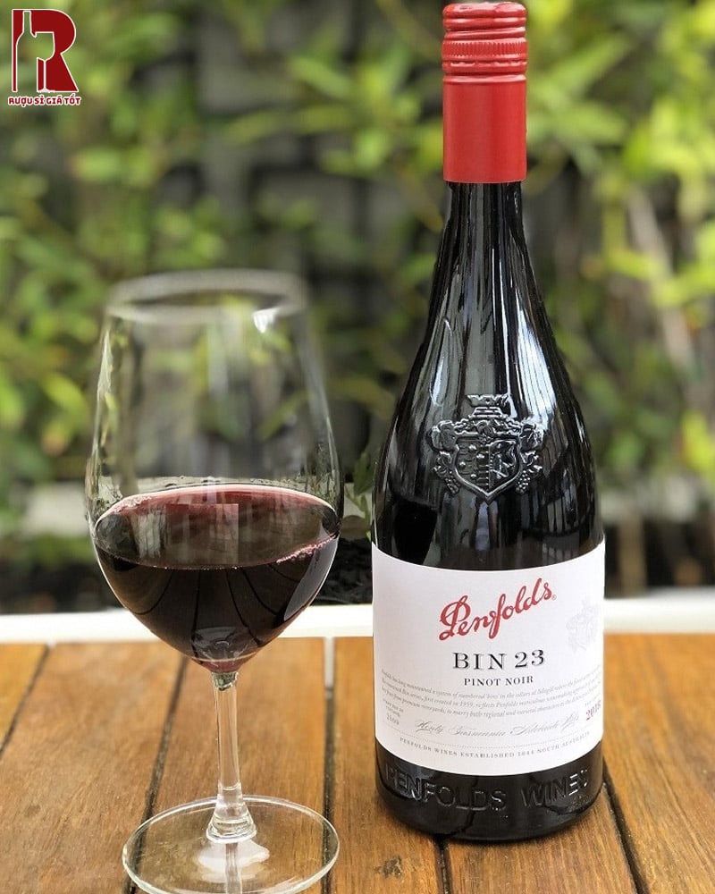 Penfolds Bin 23 Pinot Noir nhẹ nhàng và đầy chiều sâu, phù hợp cho những ai yêu thích sự tinh tế