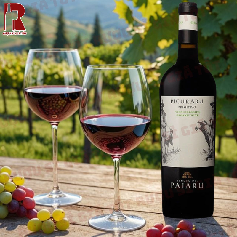 Picuraru Primitivo IGT là đại diện tiêu biểu của vùng Puglia với vị đậm đà, quyến rũ