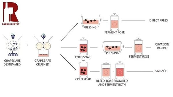 Quy trình sản xuất rượu vang hồng