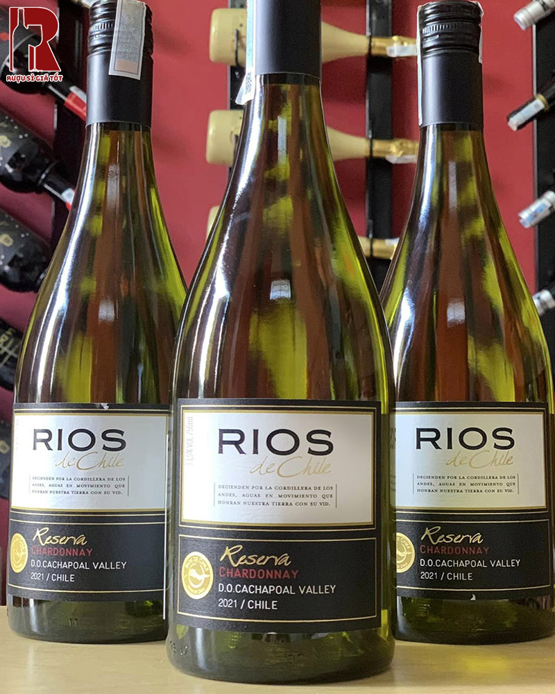 Cách uống vang trắng nhập khẩu Chile chính hãng