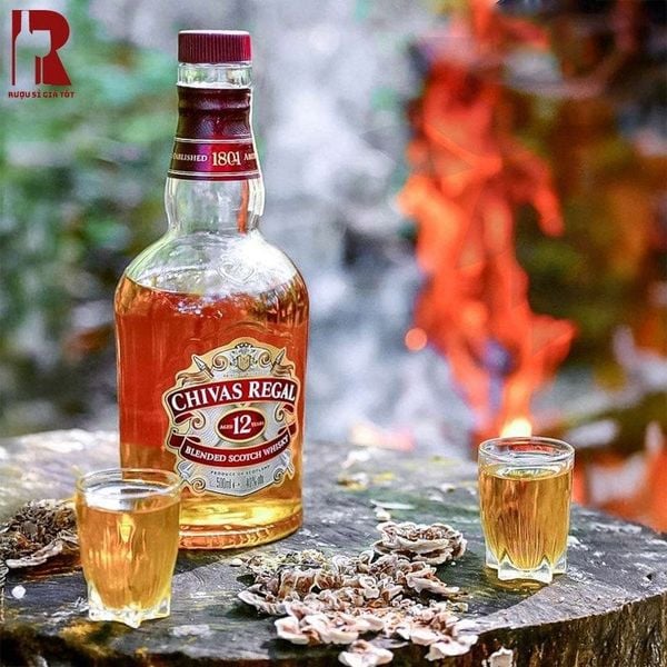 Rượu Chivas 12 Có Mấy Loại? Nên Chọn Loại Nào Ngon Nhất