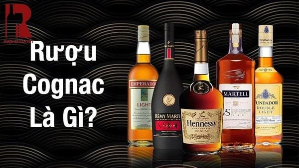 Rượu Cognac là gì? Có bao nhiêu loại rượu Cognac?
