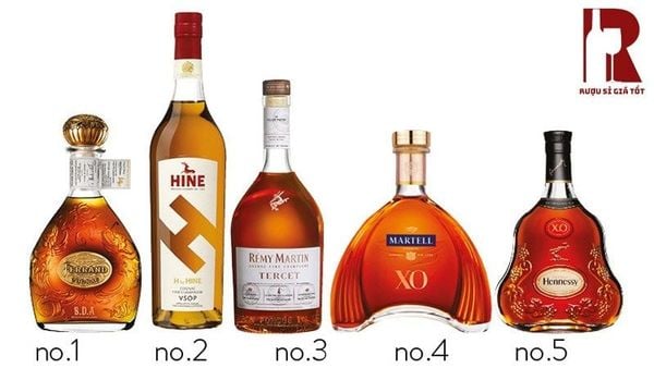 Top thương hiệu rượu Cognac đáng thử