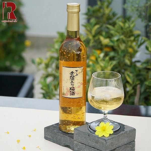Rượu Mơ