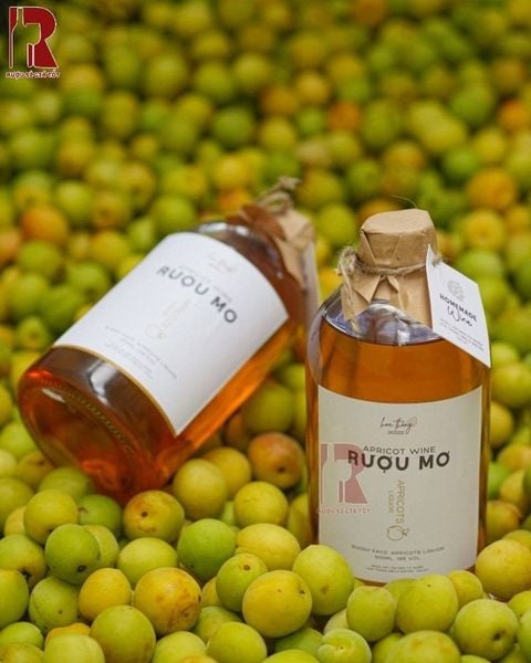 Rượu Mơ